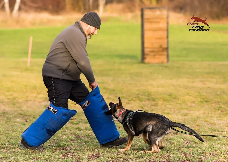 Dingo Gear- LEG Sleeve Long/Soft