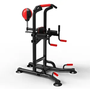 Dip Station Pull Up Bar Strength Training w/ Speed Punching Bag Boxing Ball