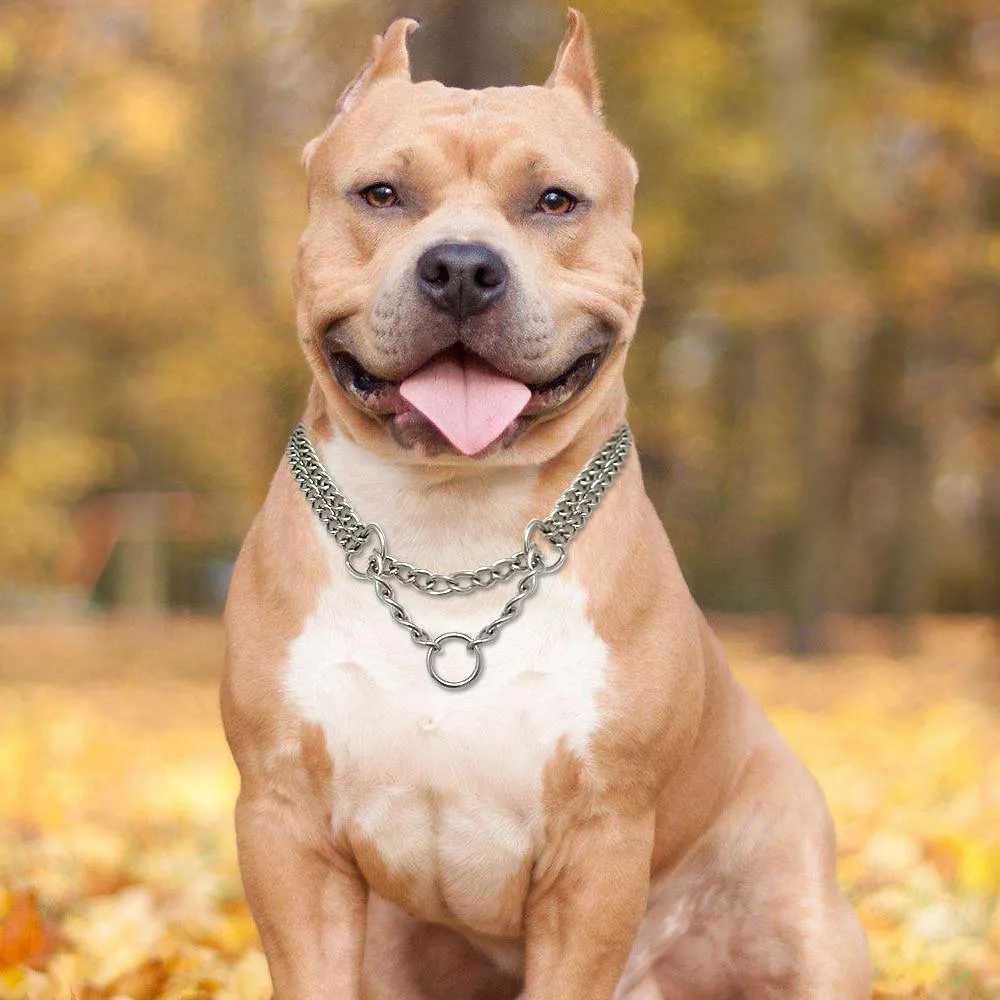 Dog Training Choke Chain Collar/Stainless Steel Slip Collar