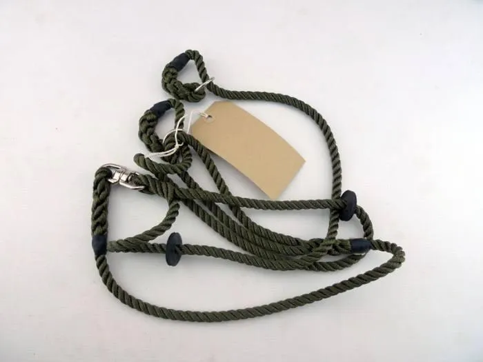 Double Slip Lead With Swivel Action