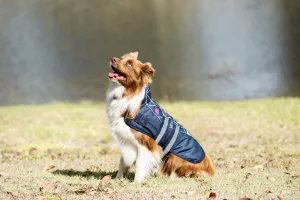 Eureka 1200D Viking Dog Coat Grey Blue