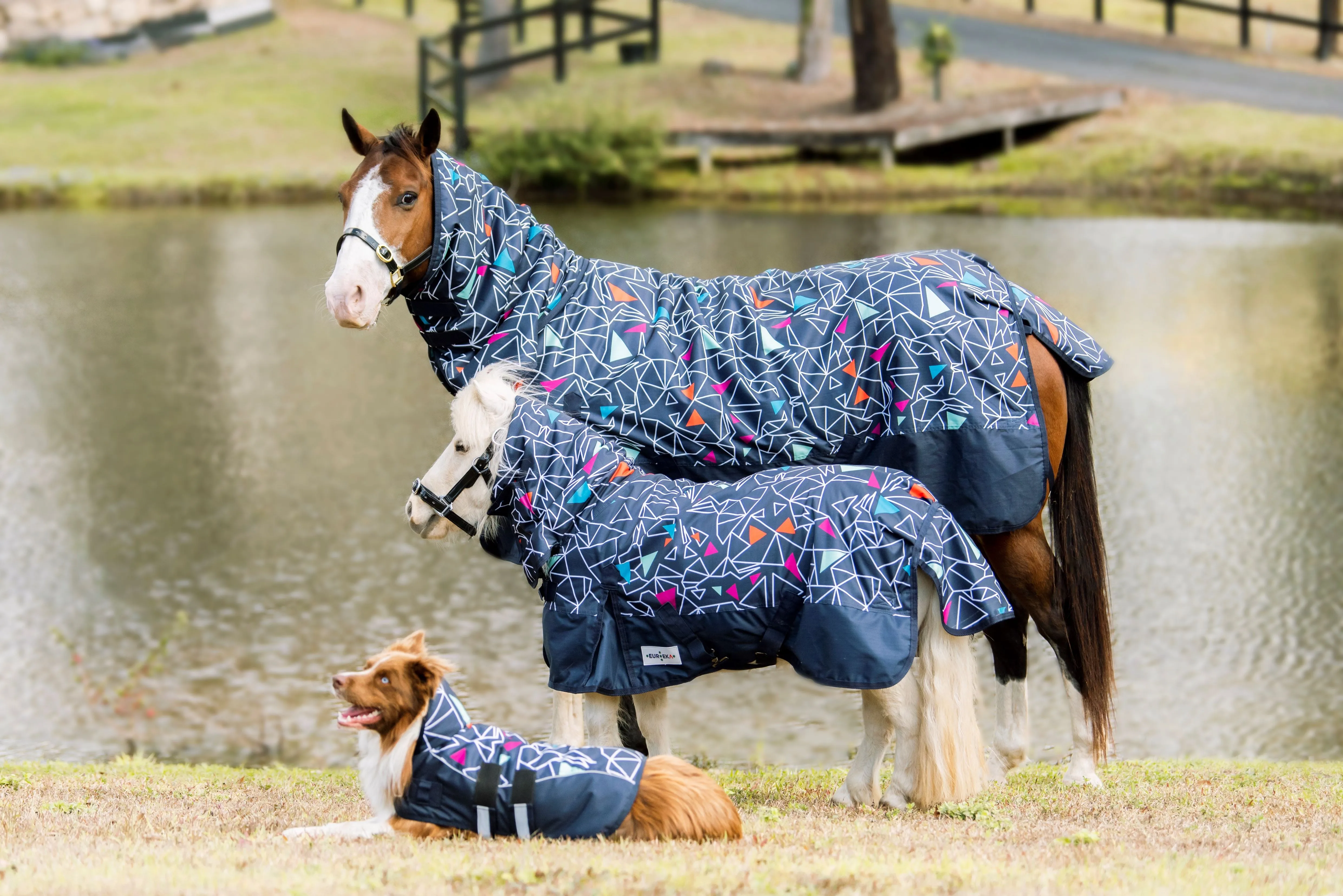 Eureka 1200D Viking Dog Coat Grey Blue