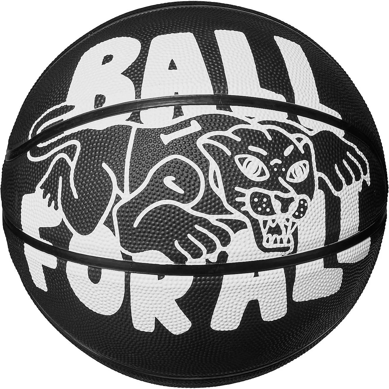 Everyday Playground Basketball