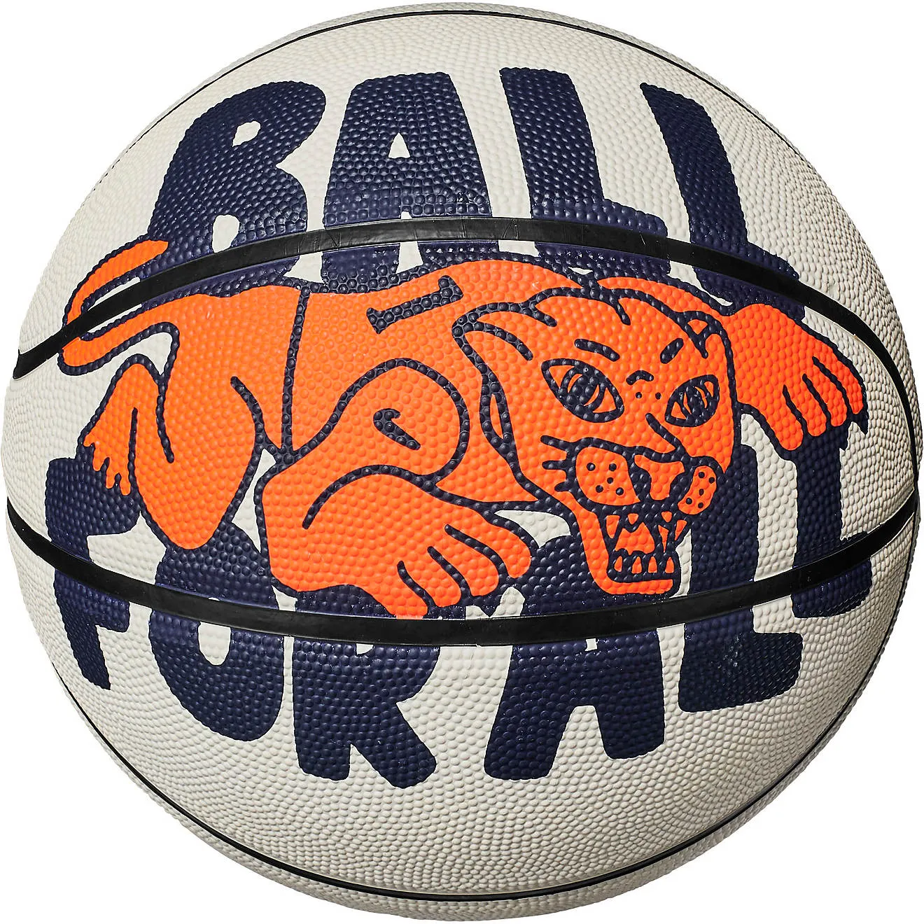 Everyday Playground Basketball
