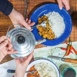 Go Native MRE Vegetable Curry