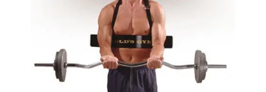 Golds Gym Biceps Isolator