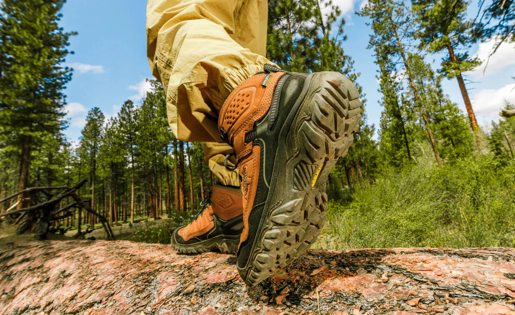 Men's Targhee IV Waterproof Hiking Boot - 1028988