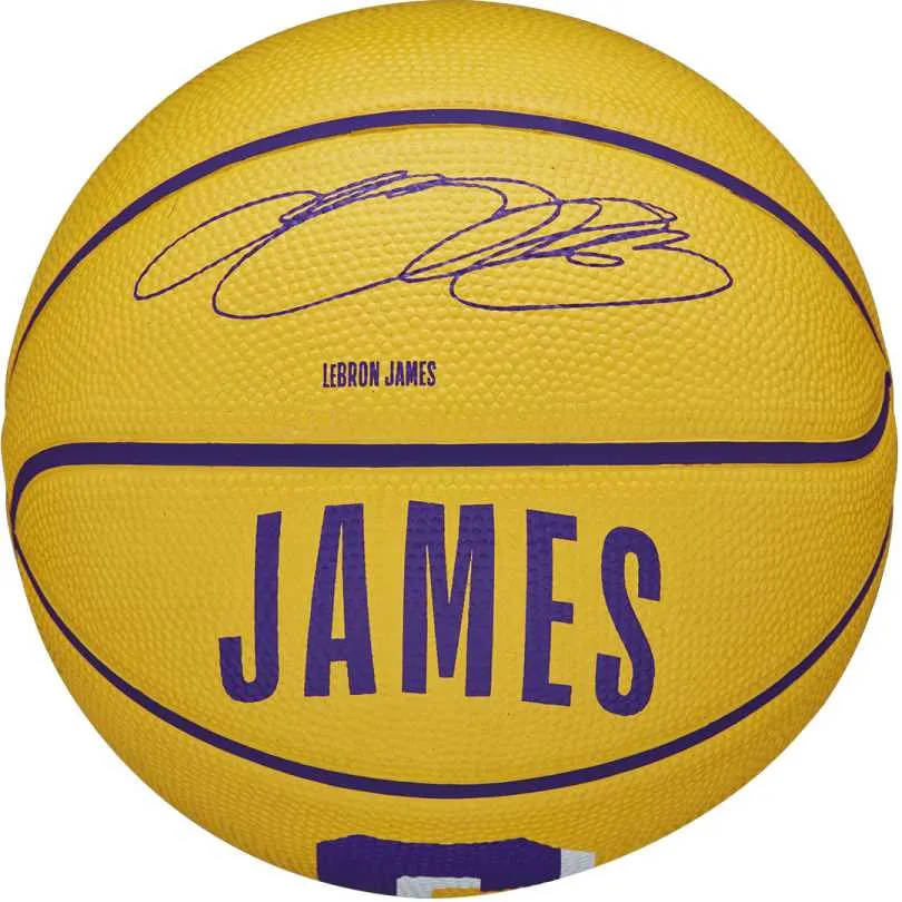 NBA Player Icon Mini Basketball