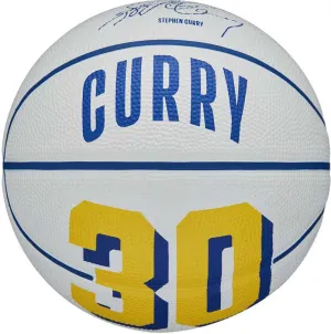 NBA Player Icon Mini Basketball