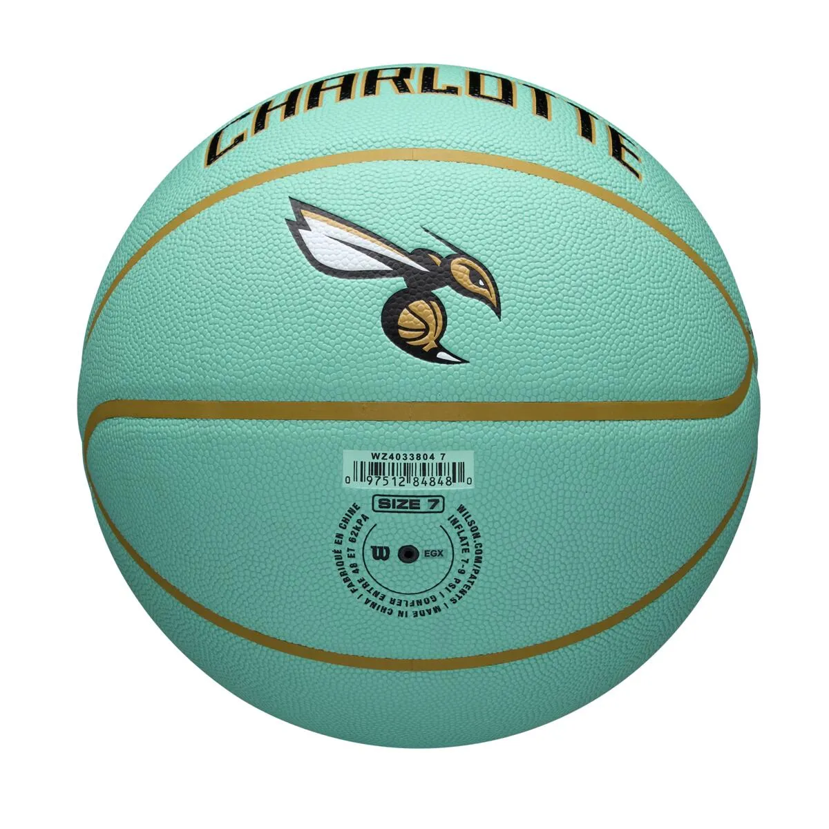 NBA Team City Edition Collector Basketball 2024/25 - Charlotte Hornets
