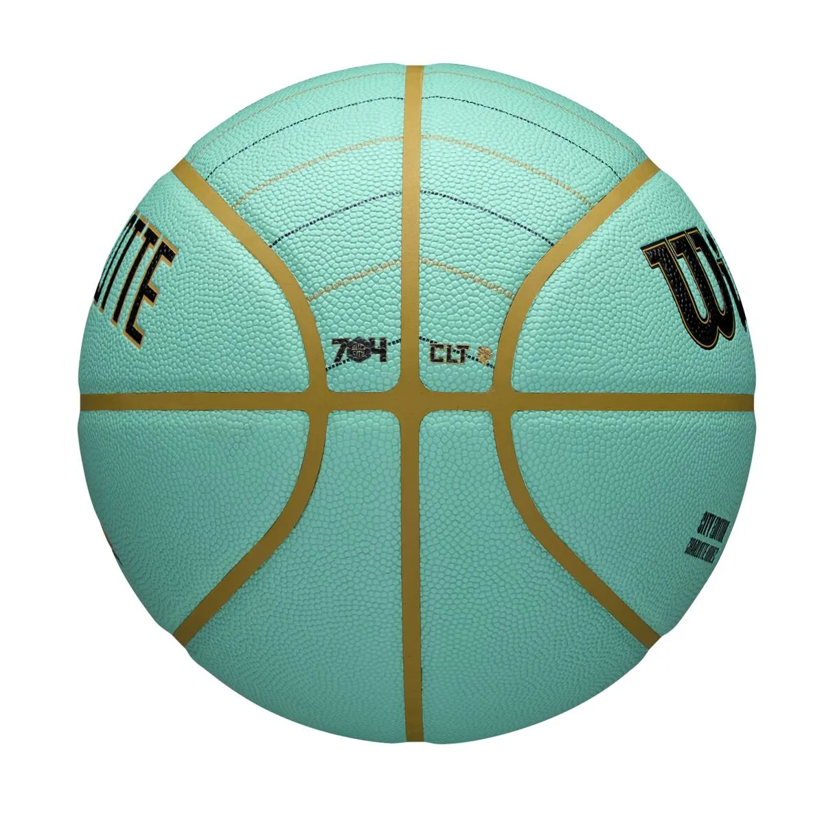 NBA Team City Edition Collector Basketball 2024/25 - Charlotte Hornets
