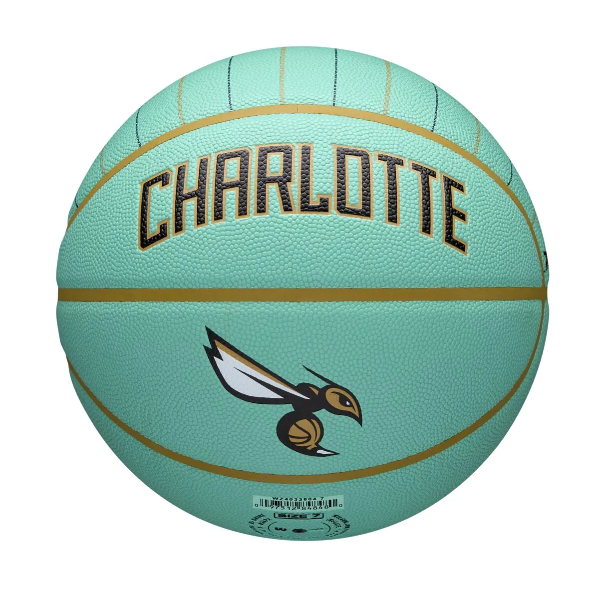 NBA Team City Edition Collector Basketball 2024/25 - Charlotte Hornets