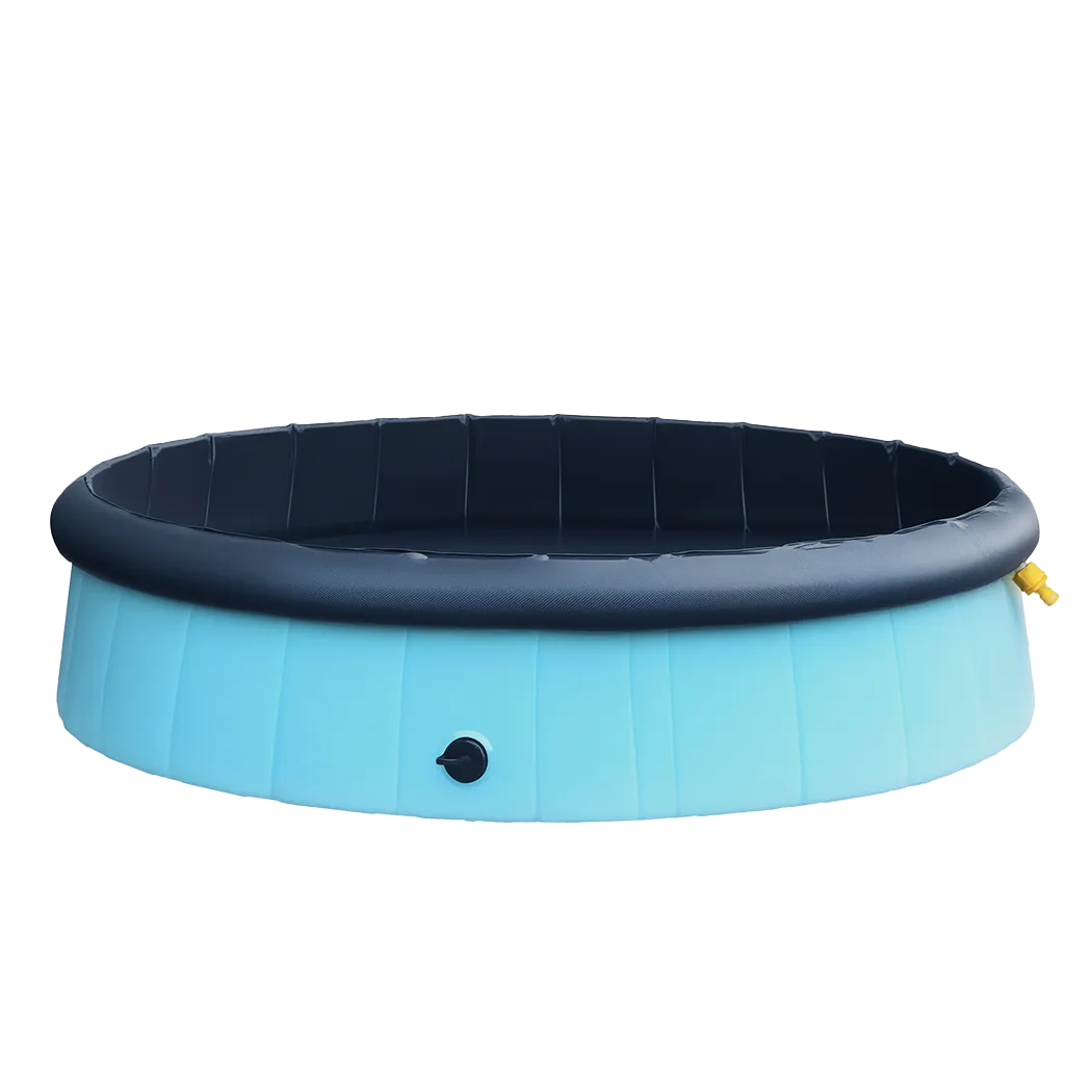 Pawz Folding Dog Swimming Pool