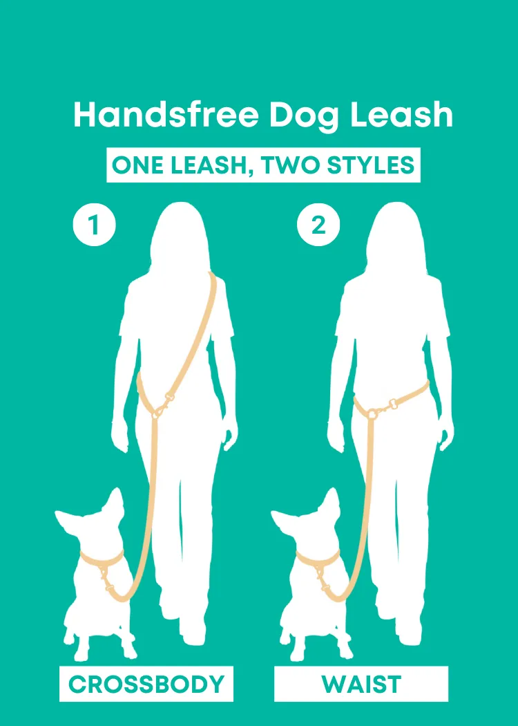 Polka Dogz - Splashproof Handsfree Dog Leash
