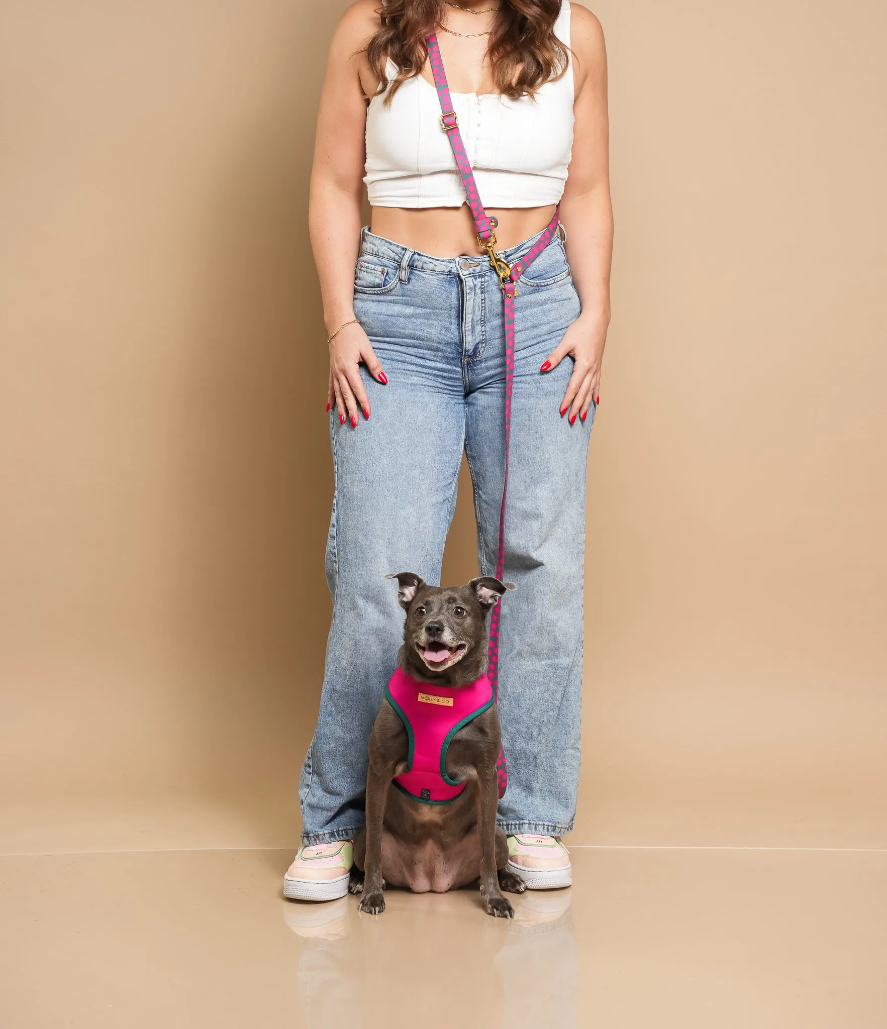 Polka Dogz - Splashproof Handsfree Dog Leash