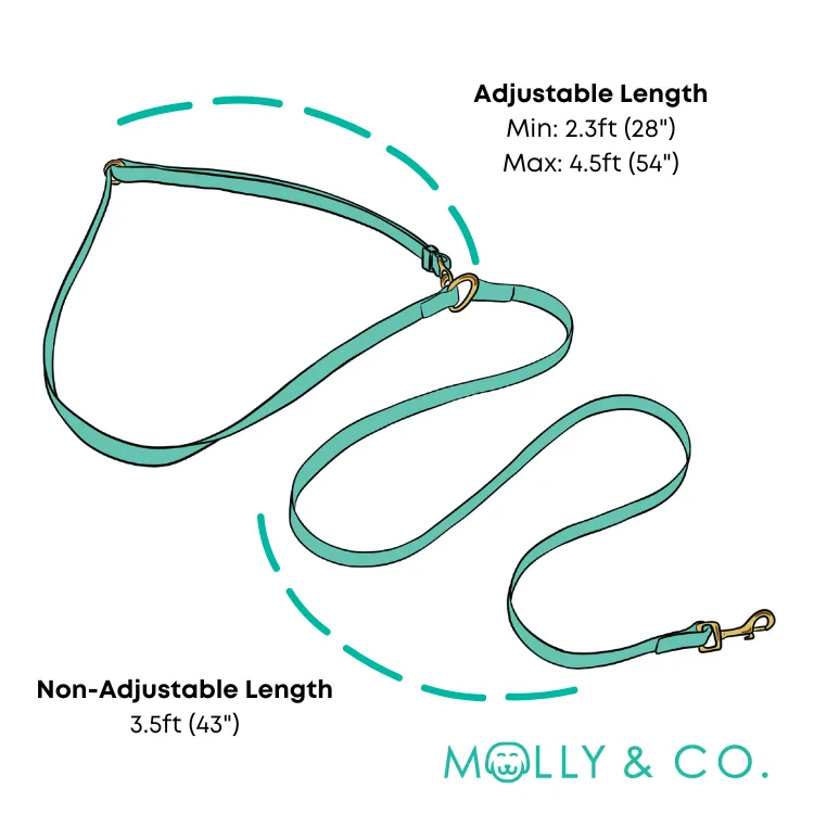 Polka Dogz - Splashproof Handsfree Dog Leash