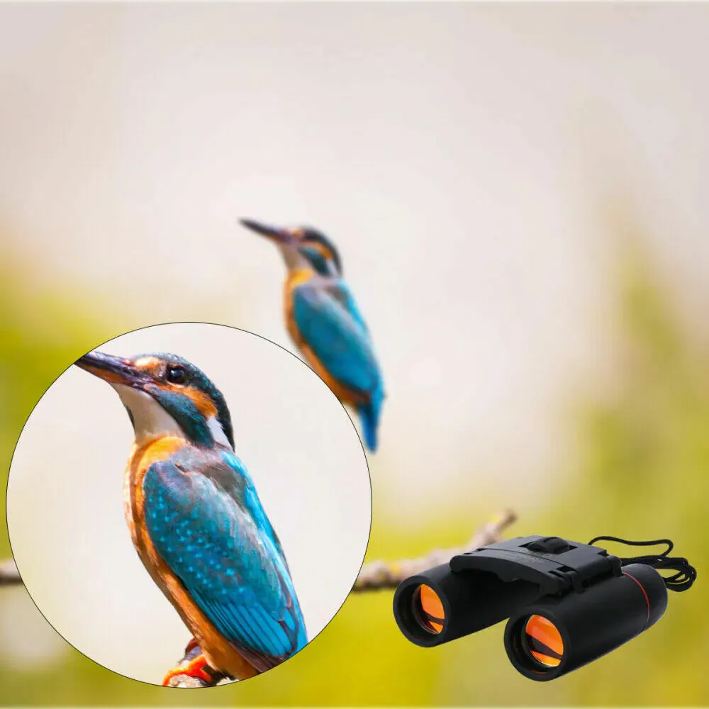 Premium 10x42 Waterproof Binoculars for Bird Watching, Hiking, and Outdoor Adventures