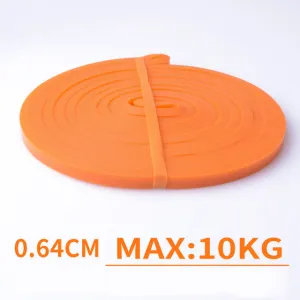 Resistance Band Exercise Elastic Band Workout Ruber Loop Crossfit Strength Pilates Fitness Equipment Training Expander Unisex