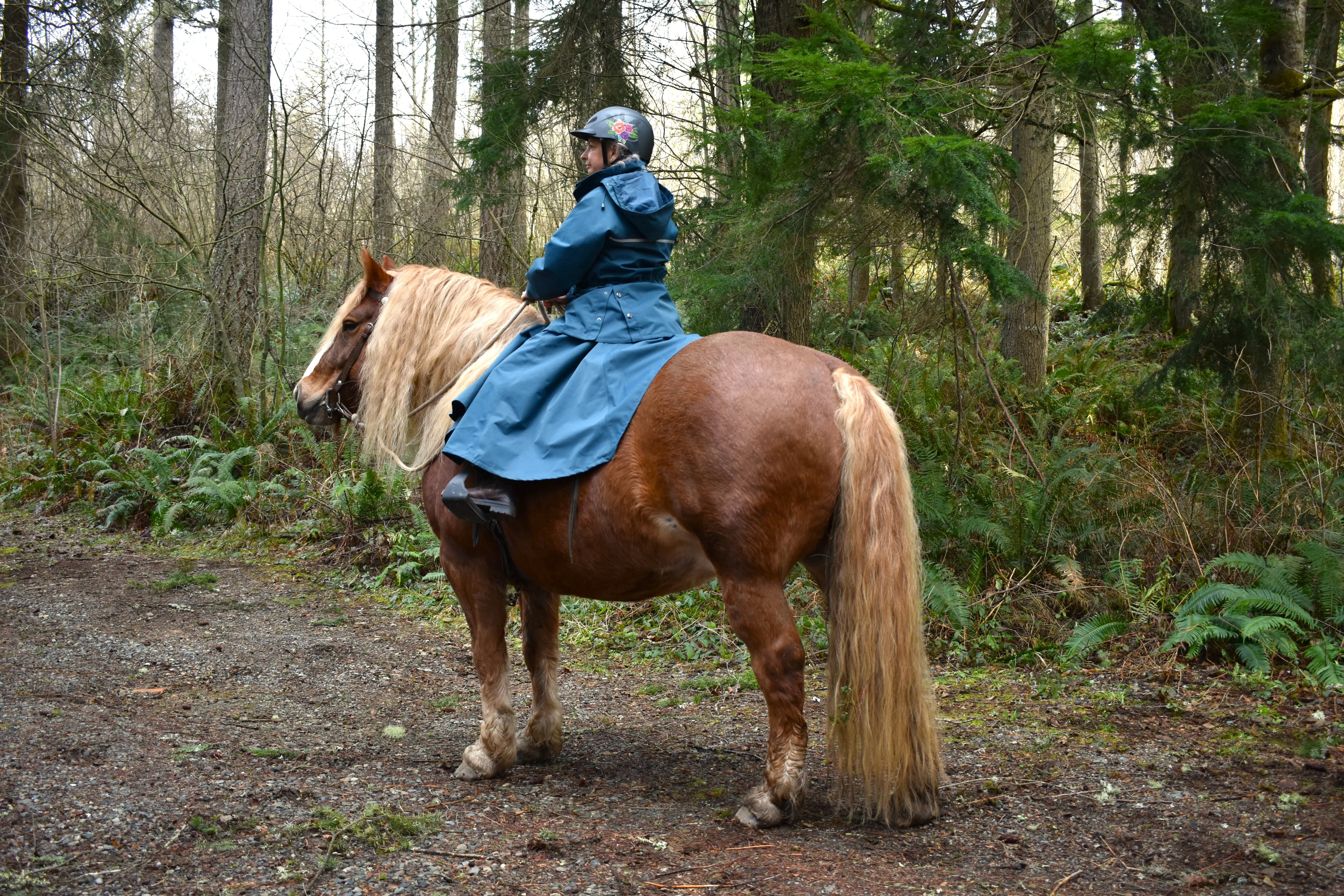 Riding Rain Skirt