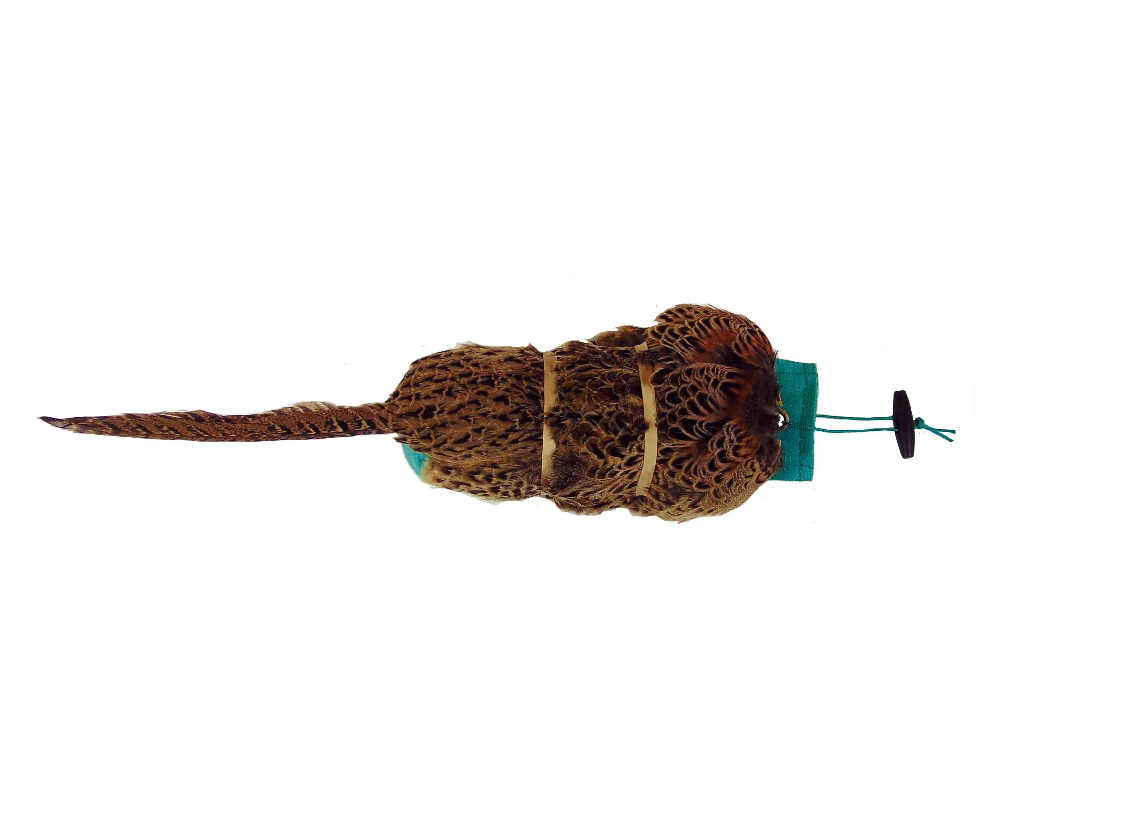 SPORTING SAINT Hen Pheasant Pelt Dummy