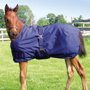 TK19225-46"-54"-Black Winter Maxim Foal & Mini 200 gm