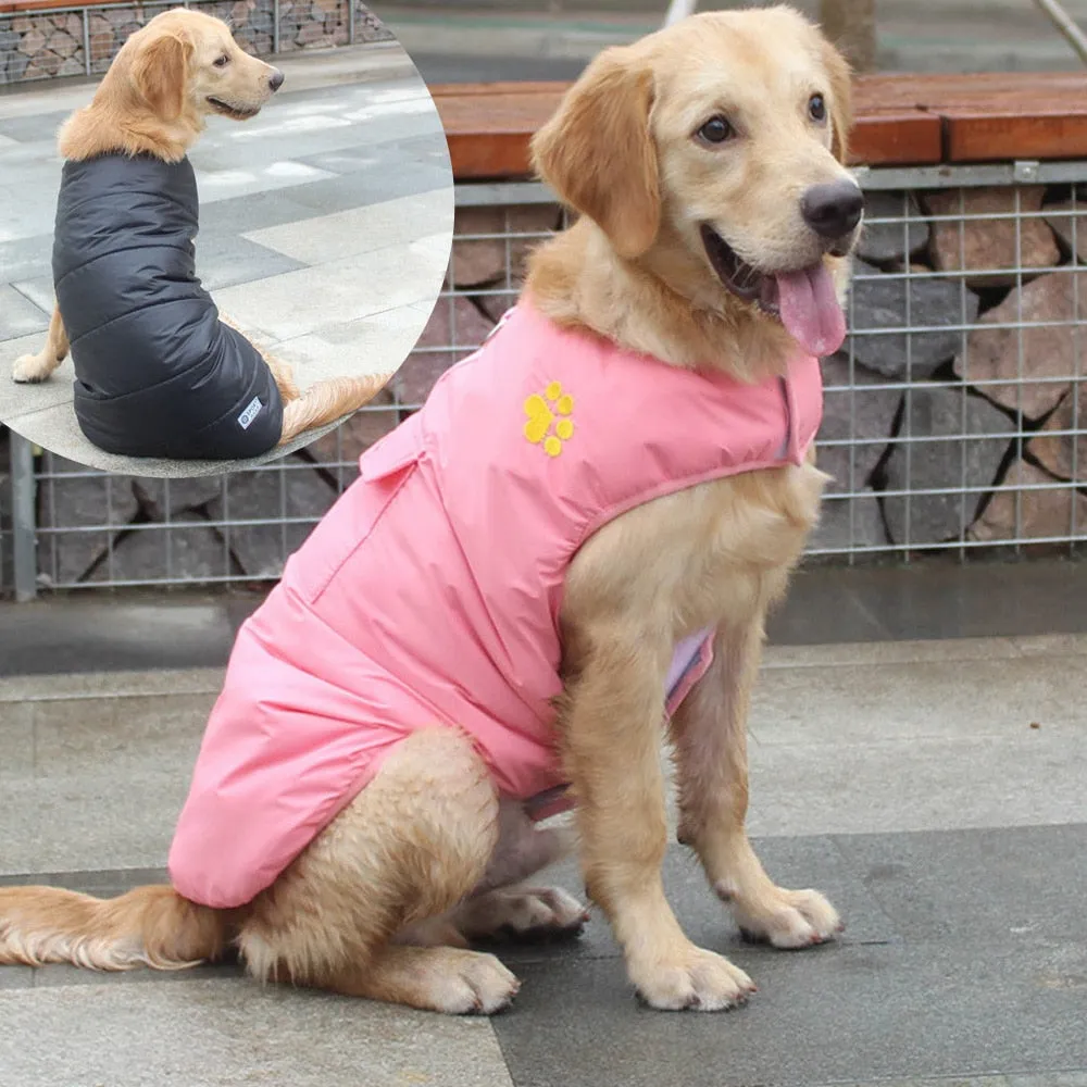 Winter Waterproof Reversible Dog Jacket