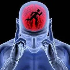 Youth Mind Agility Leadership Zone: Competitive Mental Wellness and Perseverance